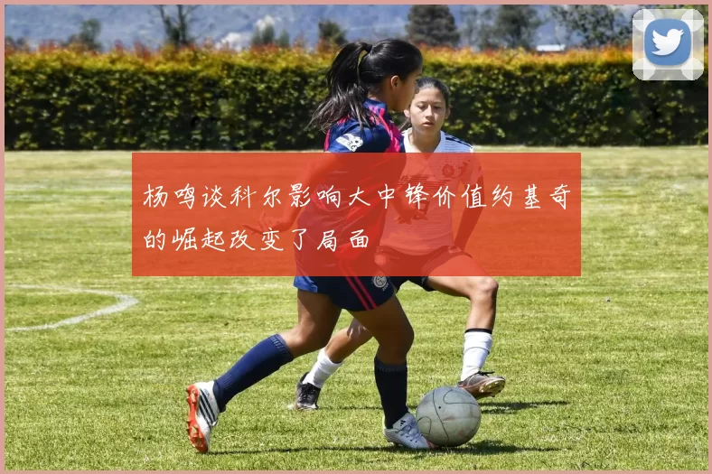 杨鸣谈科尔影响大中锋价值约基奇的崛起改变了局面